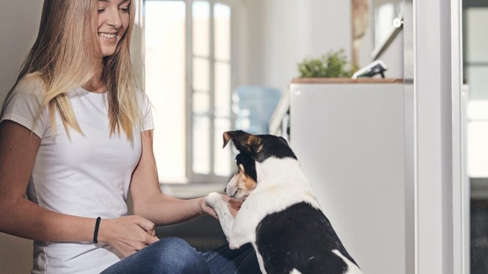 Localmedia Uber Uns Mit Hund